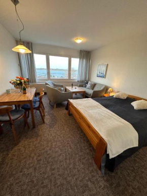 Möwe, Fehmarn